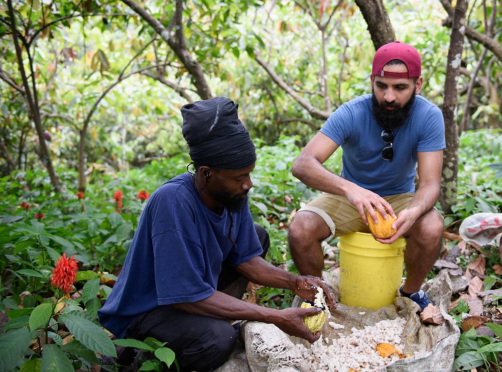 Local men explaining how to process the cacao beans and be converted into chocolate, Grenada