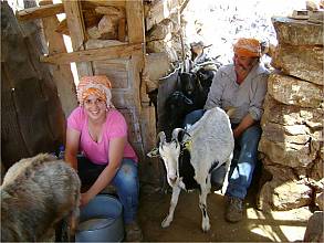 Transhumance, the seasonal droving of livestock