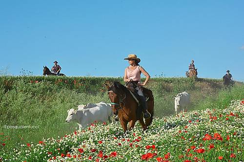 Leveraging community-based sustainable development through intangible cultural heritage: safeguarding approaches under the...