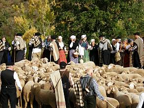 Transhumance, the seasonal droving of livestock