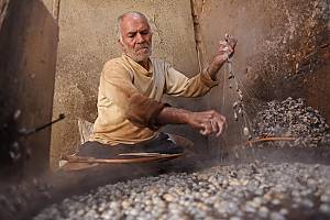 Sericulture and traditional production of silk for weaving