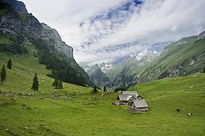 Temporada de pastos alpinos