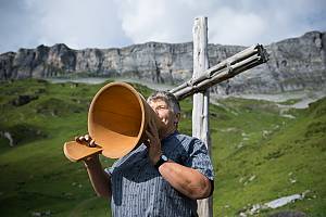 Alpine pasture season