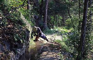 Traditional irrigation: knowledge, technique, and organization