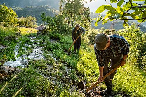 Traditional slope irrigation in the Upper Valais (Switzerland): the water from the water channel is distributed over the meadow with the help of a watering axe