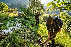 L'irrigation traditionnelle : connaissance, technique et organisation