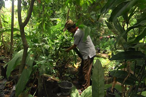 Expert meeting (Category VI) on safeguarding intangible cultural heritage and climate change