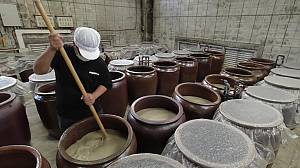 Traditional knowledge and skills of sake-making with koji mold in Japan