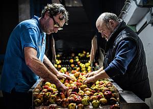 Asturian cider culture