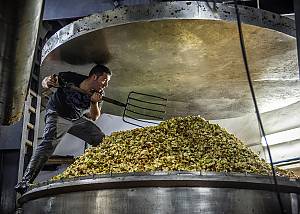 Asturian cider culture