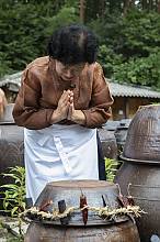 Knowledge, beliefs and practices related to jang making in the Republic of Korea