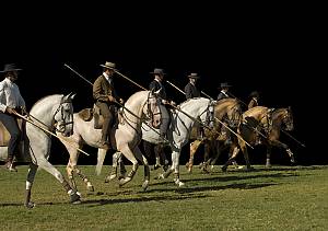 Equestrian art in Portugal