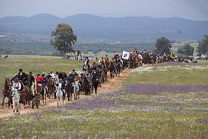 Equestrian art in Portugal