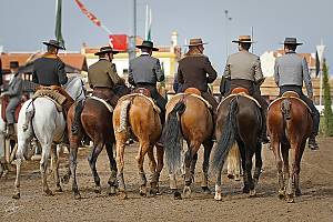 L’art équestre au Portugal