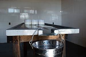 Traditional ways of making Artisan Minas Cheese in Minas Gerais