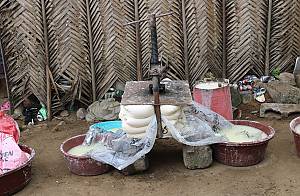 Skills related to Attiéké production in Côte d’Ivoire