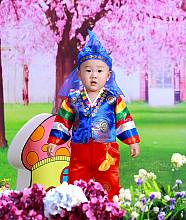 Custom of Korean costume: traditional knowledge, skills and social practices in the Democratic People's Republic of Korea