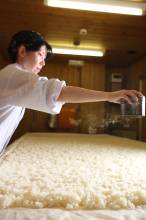 Traditional knowledge and skills of sake-making with koji mold in Japan