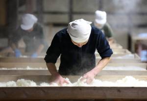 Traditional knowledge and skills of sake-making with koji mold in Japan