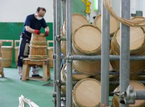 Traditional knowledge and skills of sake-making with koji mold in Japan