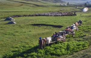 Mongol nomad migration and its associated practices