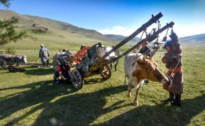 Mongol nomad migration and its associated practices