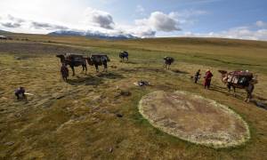 Mongol nomad migration and its associated practices