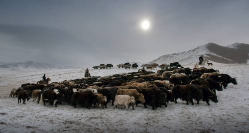 Formation des formateurs sur le patrimoine vivant et la réduction des risques de catastrophes