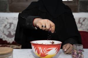 Cultural practices related to Taif roses