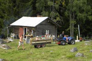 Summer farming at fäbod and seter: knowledge, traditions and practices related to the grazing of outlying lands and artisan food production
