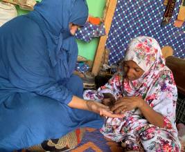 Henna: rituals, aesthetic and social practices