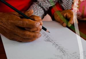 Living memory and culture. Learning recipes and history of medicinal plants in San Martín, Perú