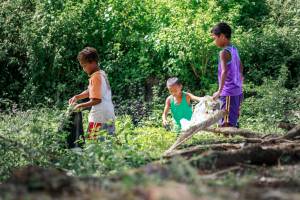L'humain dans son environnement