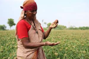 Pratiques agricoles