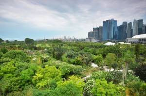Explorer les jardins communautaires – Comment et pourquoi sont-ils si précieux pour les humains ?