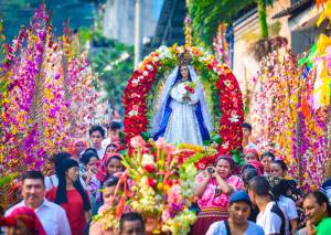 The Confraternity of flowers and palms