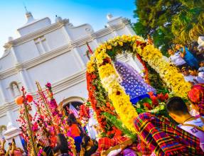 The Confraternity of flowers and palms