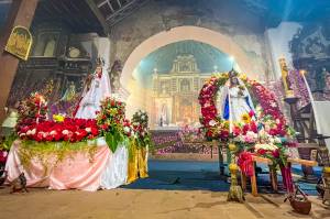 The Confraternity of flowers and palms
