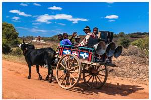 Tsapiky, rhythm and musical style characteristic of the South-West region of Madagascar