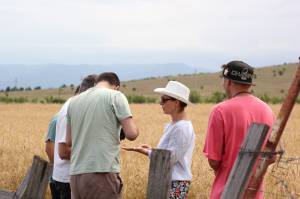 Georgian wheat culture: traditions and rituals