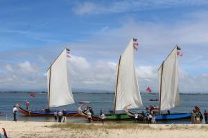 Moliceiro boat: naval carpentry art of the Aveiro region