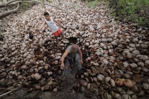 The practice of making Asin Tibuok, the artisanal sea salt of the Boholano of Bohol Island, Philippines
