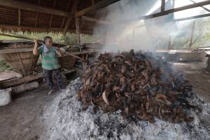 The practice of making Asin Tibuok, the artisanal sea salt of the Boholano of Bohol Island, Philippines