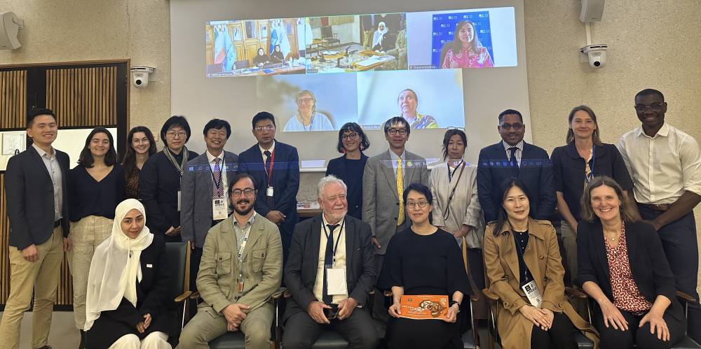Participants to the twelfth meeting of Category 2 centres active in the field of intangible cultural heritage on 13 June 2024, UNESCO Headquarters, Paris